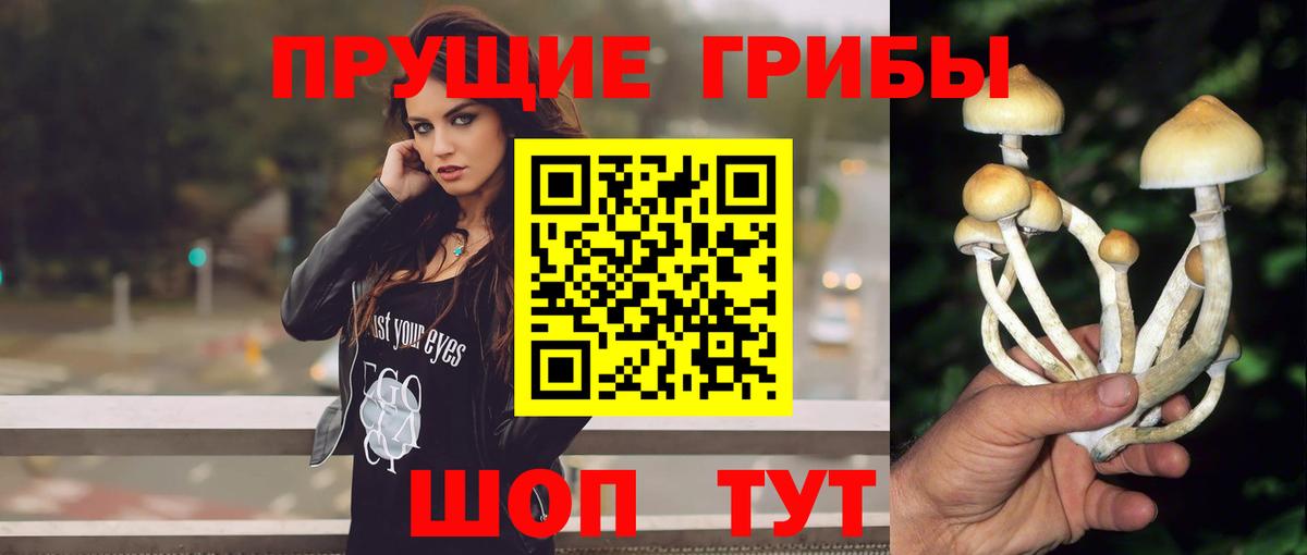 Галлюциногенные грибы Cubensis  Вход с VPN  Верхний Уфалей  Псилоцибиновые грибы MAGIC MUSHROOMS 
